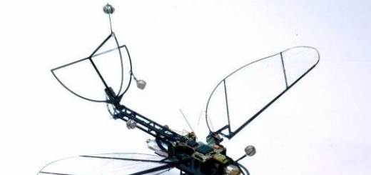 Гарвардские исследователи создали нового сверхлегкого миниатюрного летающего робота