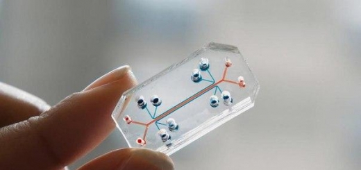 «Органы-чипы» — революция в медицине