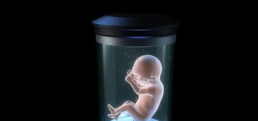 Ученые вырастили в пробирке двухнедельный человеческий эмбрион