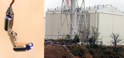 Японский робот «умер» после трех часов пребывания в ядерном реакторе