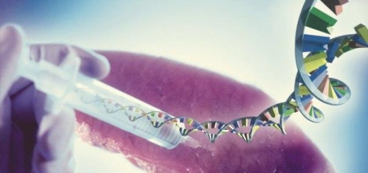 Исследование американских учёных о редактировании ДНК вызвало резонанс среди генетиков