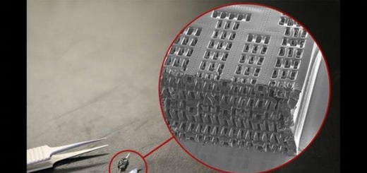 Ученые показали первые трёхмерные органы-на-чипе
