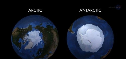 Учёные выяснили, почему антарктический лёд растёт, а арктический — тает